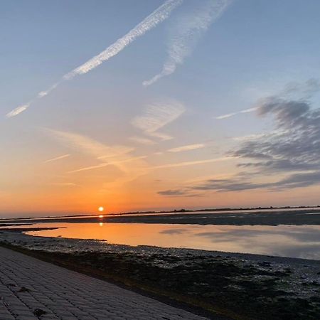 Vakantiewoning De Bosrand Aan Zee Sint Annaland Kültér fotó
