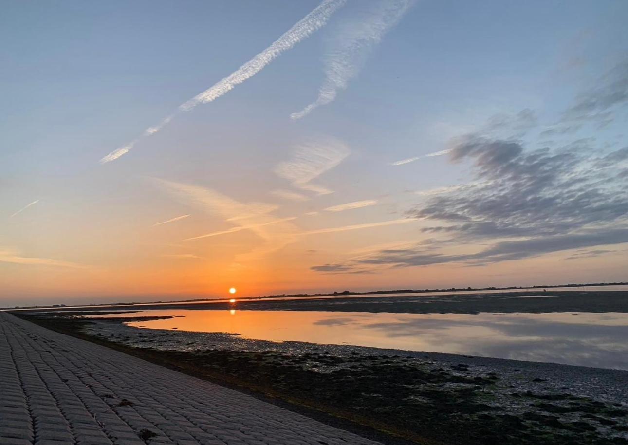 Vakantiewoning De Bosrand Aan Zee Sint Annaland Kültér fotó
