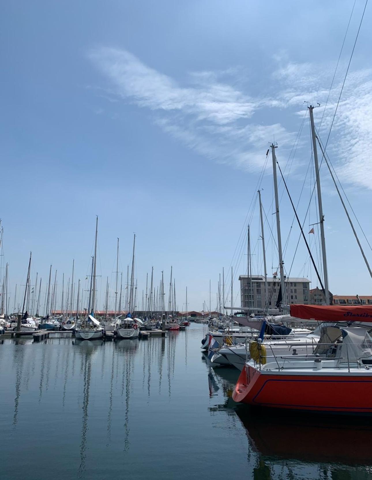Vakantiewoning De Bosrand Aan Zee Sint Annaland Kültér fotó