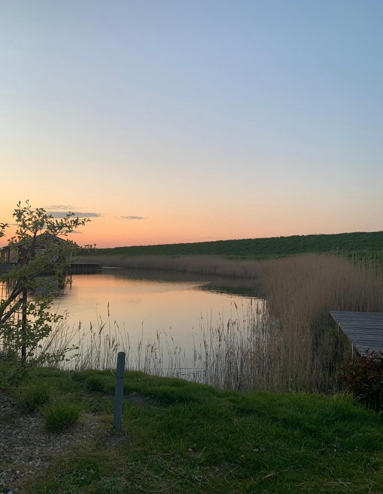 Vakantiewoning De Bosrand Aan Zee Sint Annaland Kültér fotó