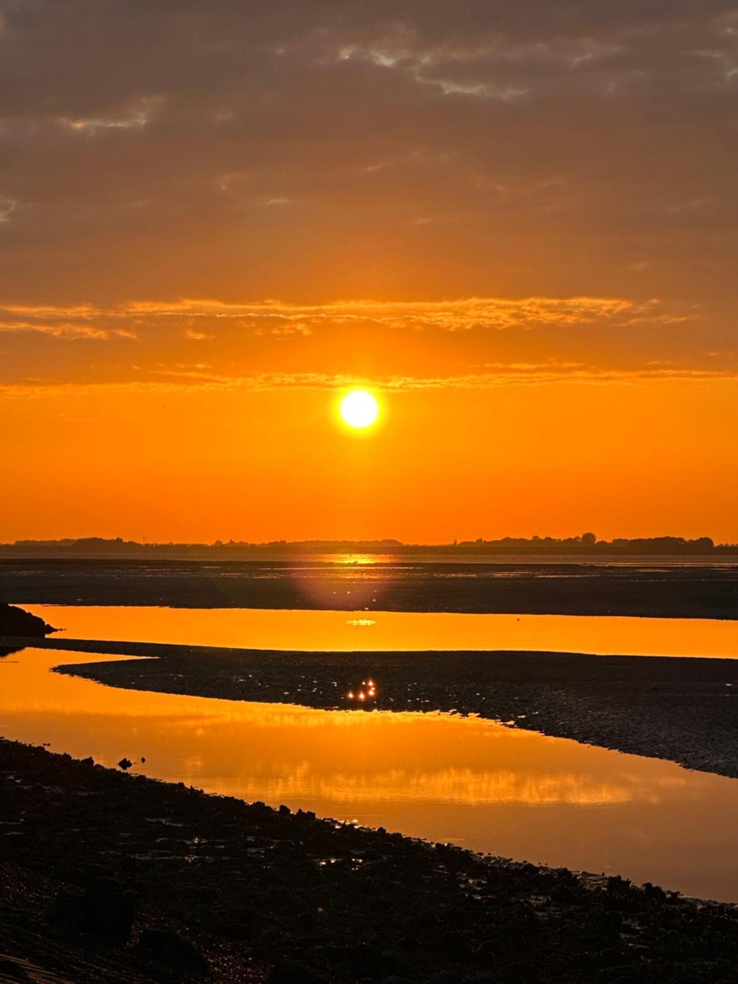 Vakantiewoning De Bosrand Aan Zee Sint Annaland Kültér fotó
