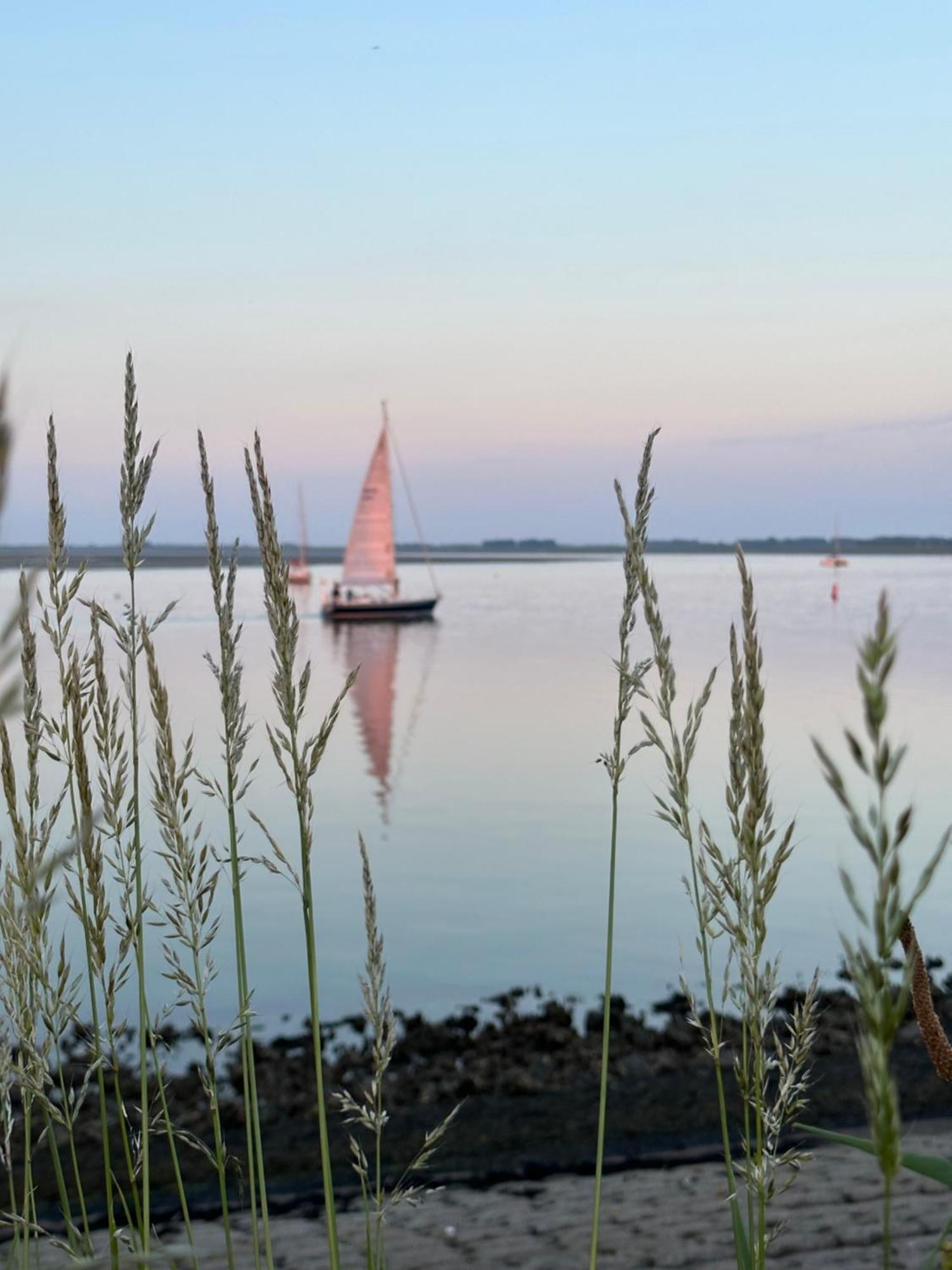 Vakantiewoning De Bosrand Aan Zee Sint Annaland Kültér fotó